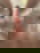 643876585