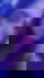 613889317